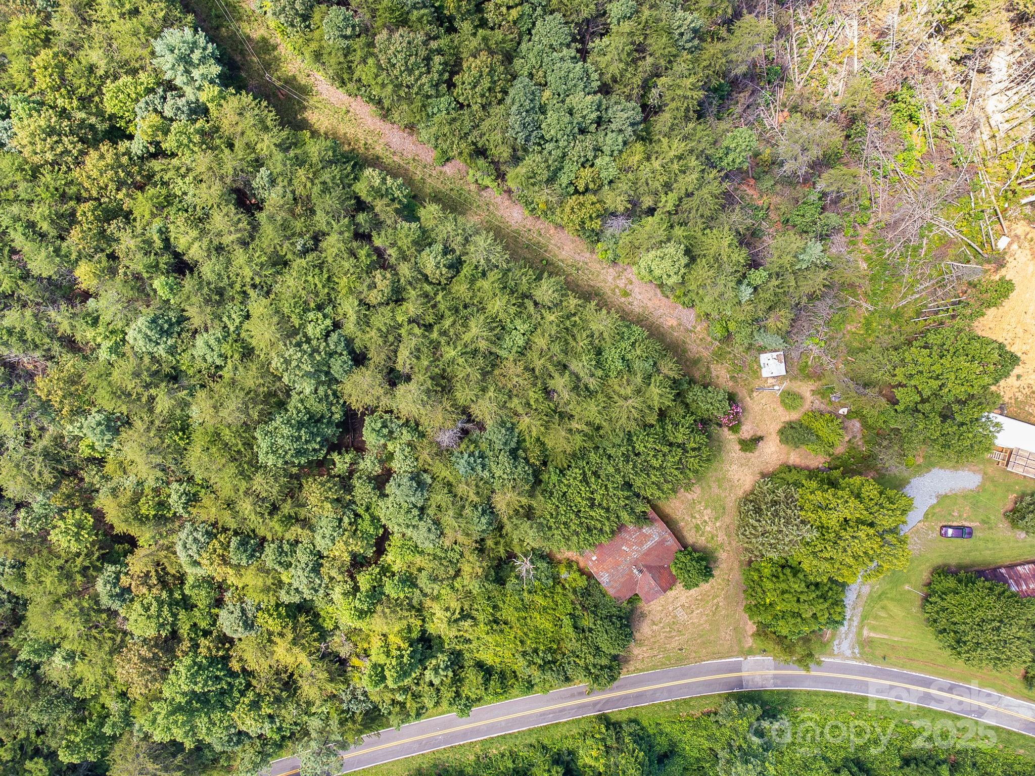 211 Luckadoo Road Bostic, NC 28018 - Photo 13 of 32 a picture of a tree