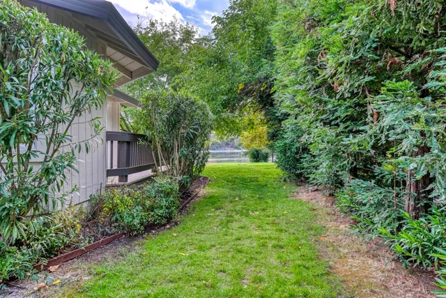 a view of a back yard