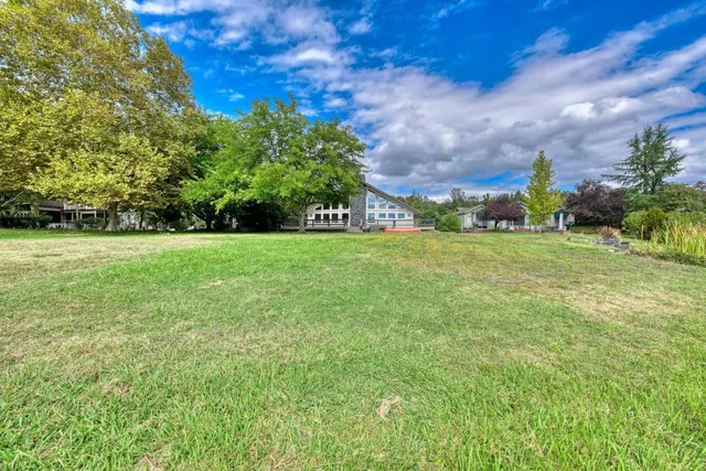 a view of a big yard with plants and large trees