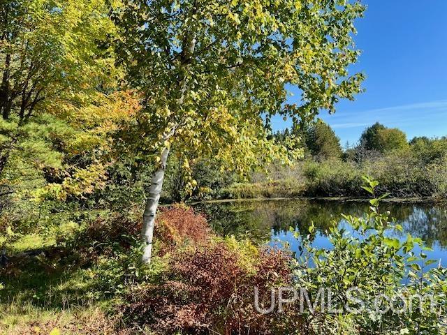25307 Dover Road Calumet, MI 49913 - Photo 24 of 47