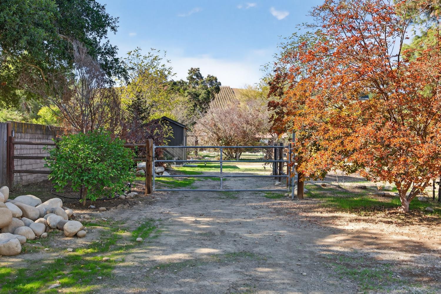a view of backyard with green space