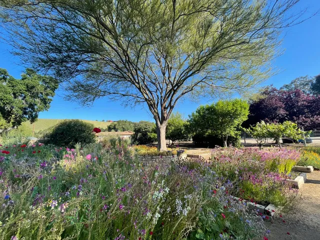 a view of backyard of house with green space