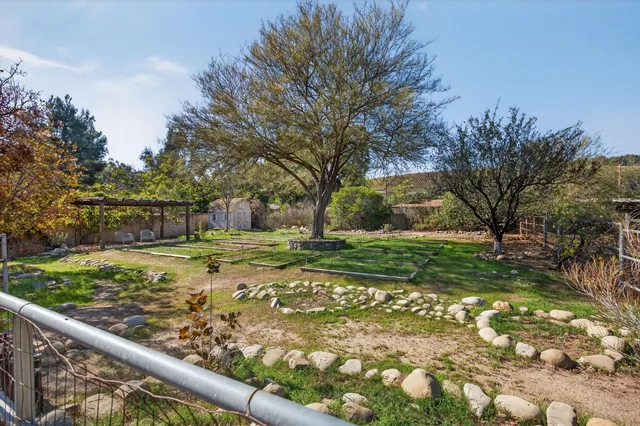 a view of a yard with plants and trees