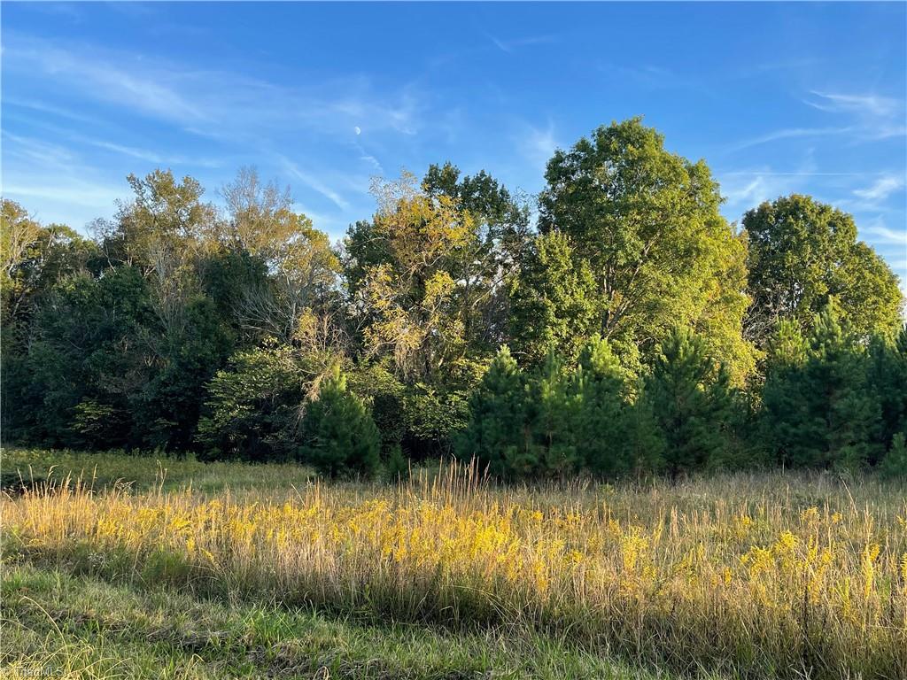 2213 Jerusalem Road Lexington, NC 27292 - Photo 2 of 7 Gallery Image 2