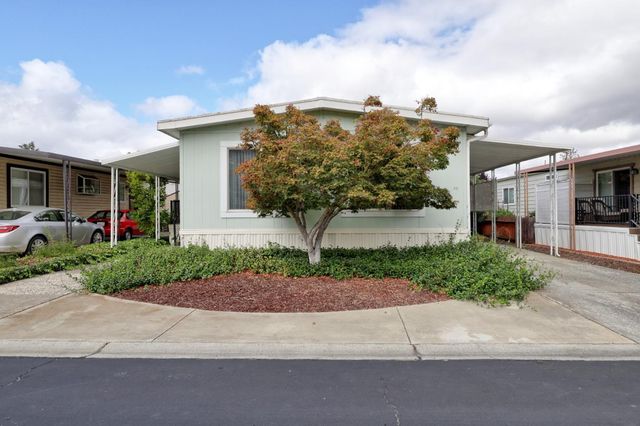 a view of a back yard