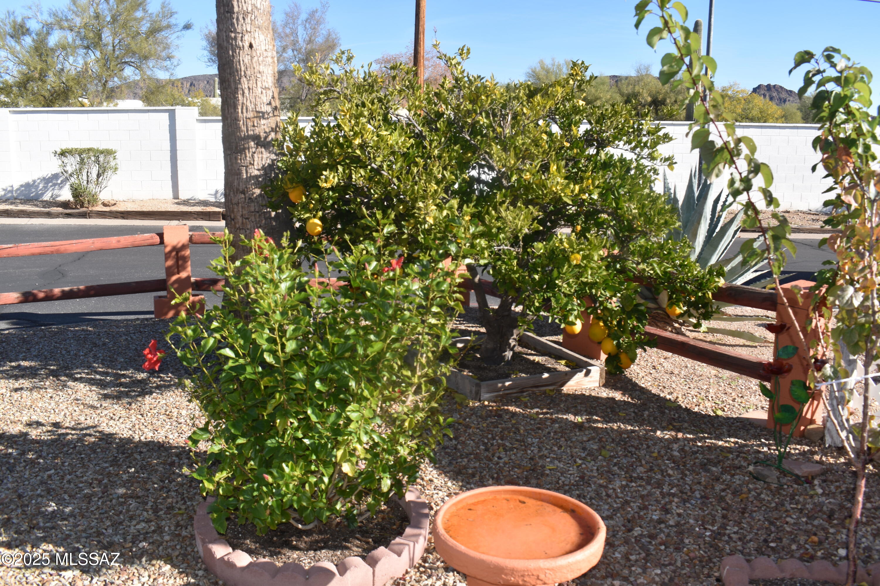 3100 South Kinney Road, Unit 221 Tucson, AZ 85713 - Photo 15 of 28