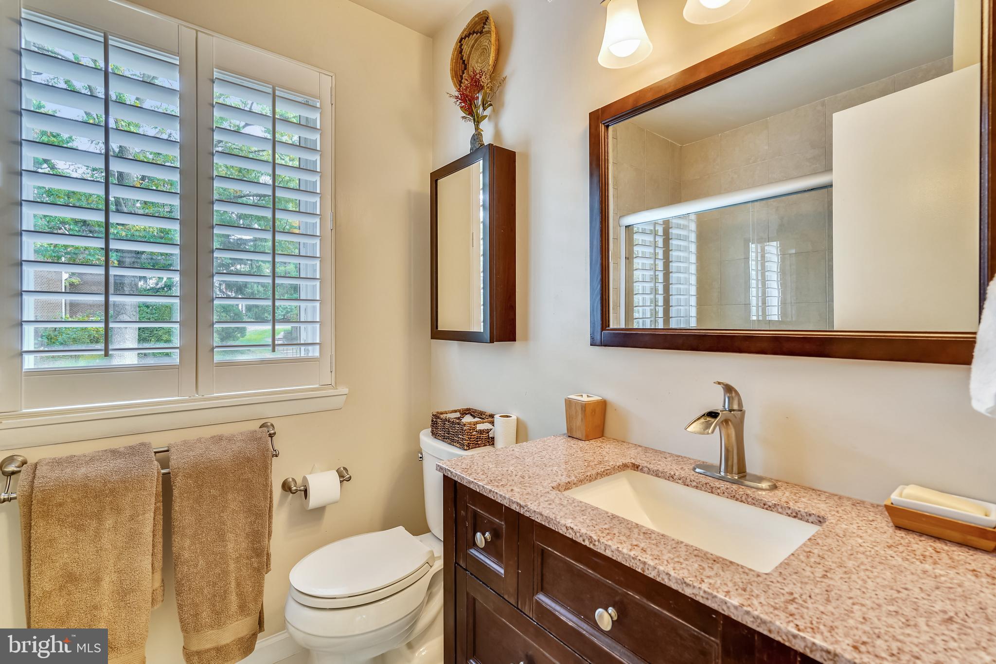 11087 Saffold Way Reston, VA 20190 - Photo 27 of 48 Primary Bathroom with Shower.