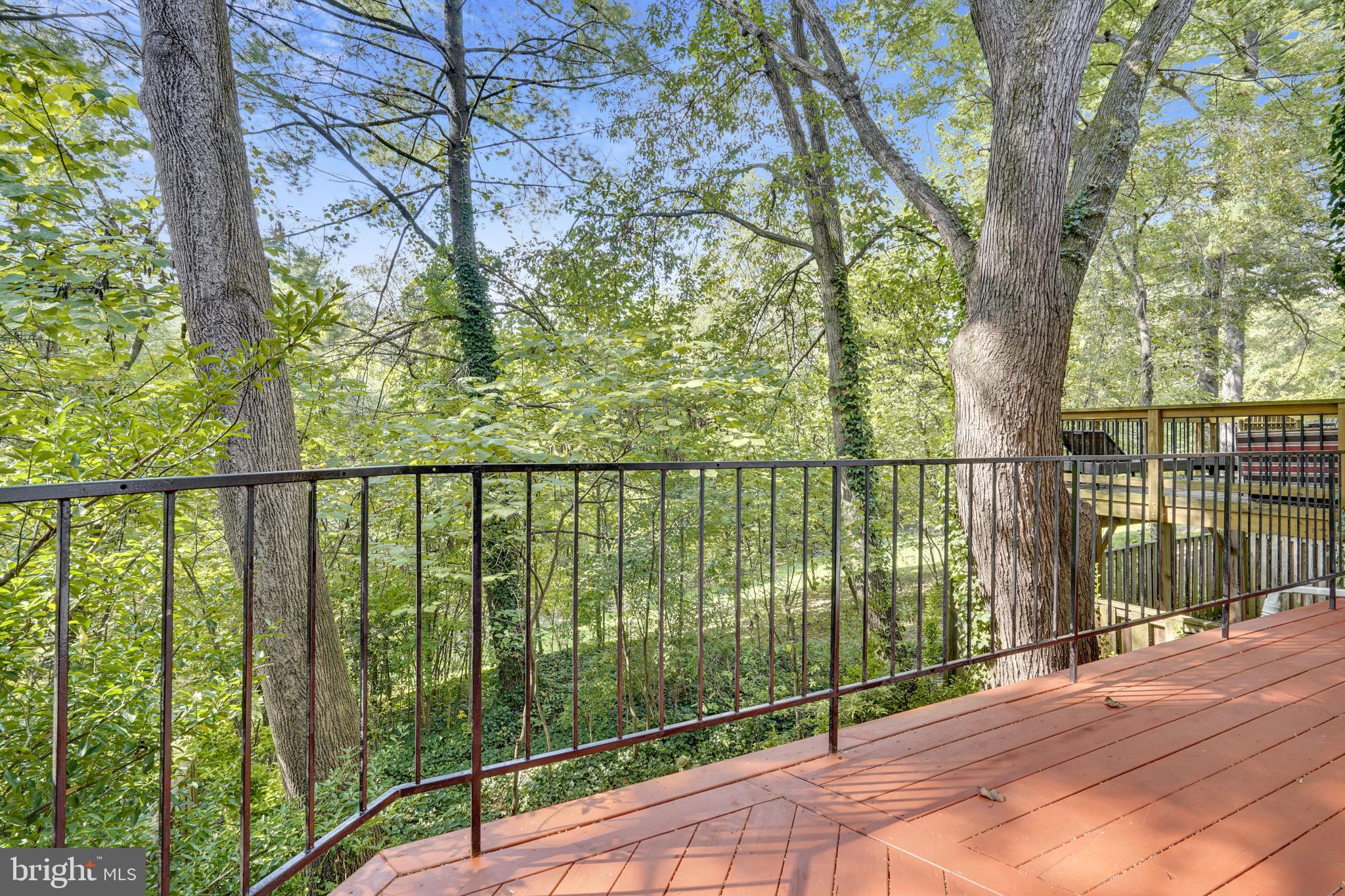 11087 Saffold Way Reston, VA 20190 - Photo 8 of 48 Beautiful Treed Backing.
