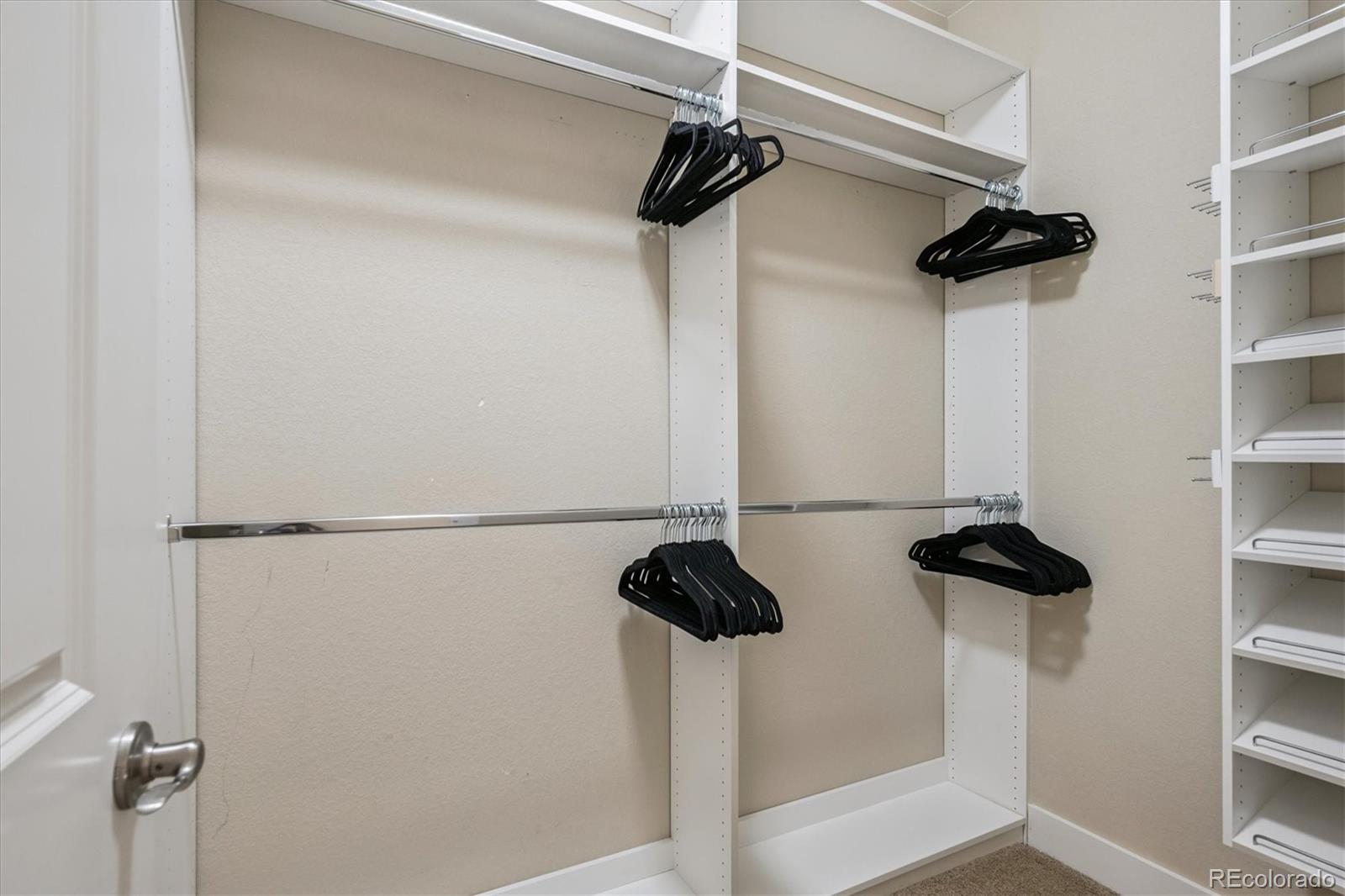 6667 Club Villa Road Parker, CO 80134 - Photo 27 of 50 a close view of walk in closet