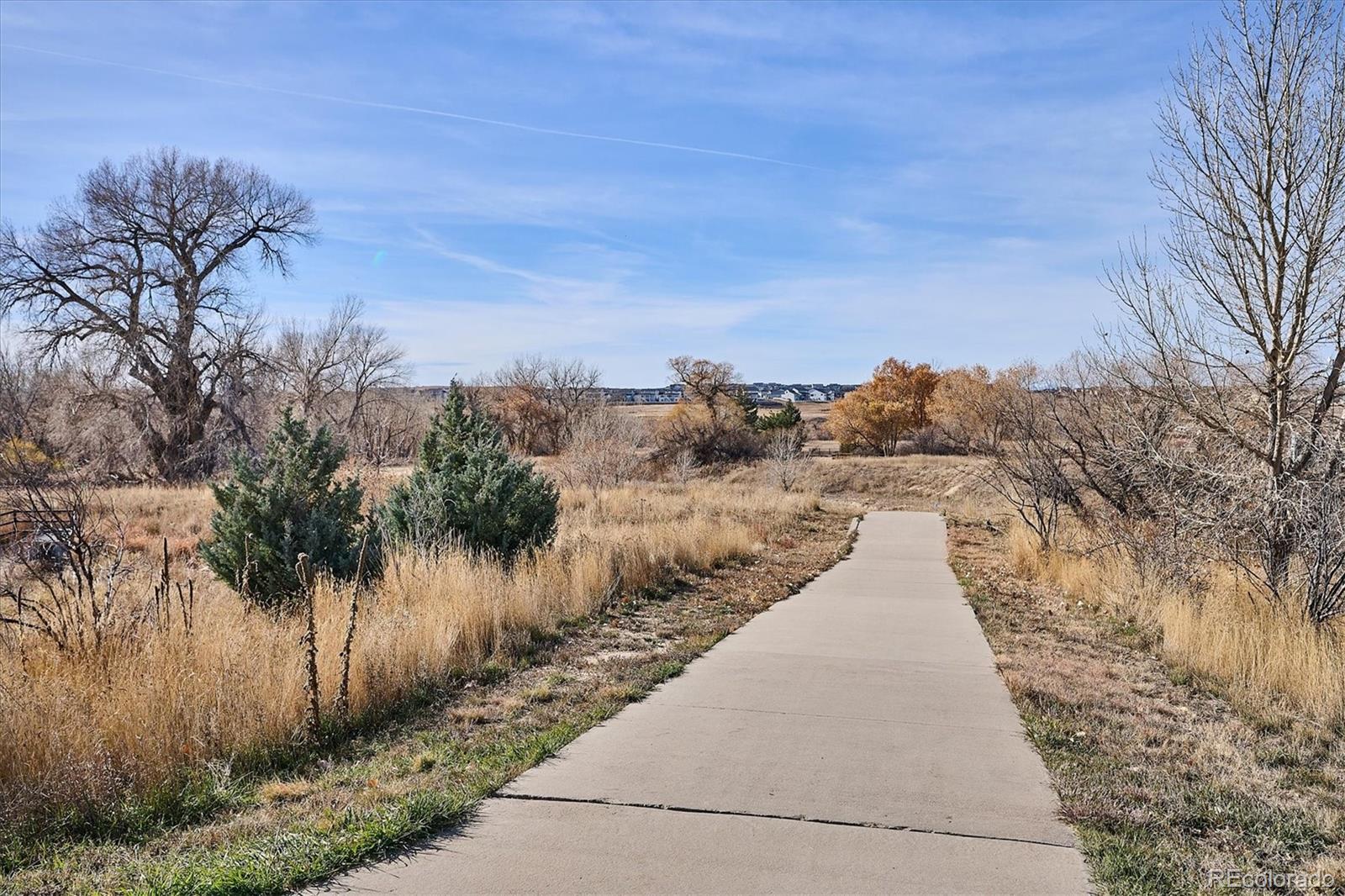 6667 Club Villa Road Parker, CO 80134 - Photo 47 of 50 a view of a pathway with a wrought fence