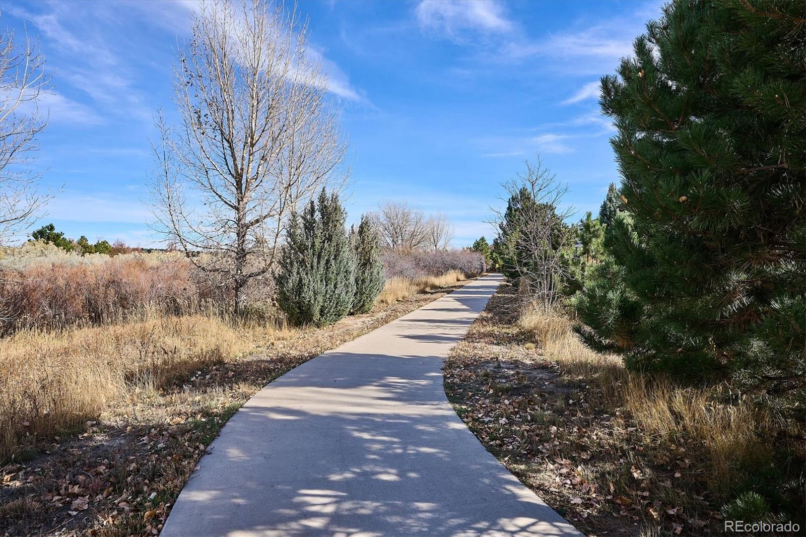6667 Club Villa Road Parker, CO 80134 - Photo 48 of 50 a view of a yard with plants and a large tree