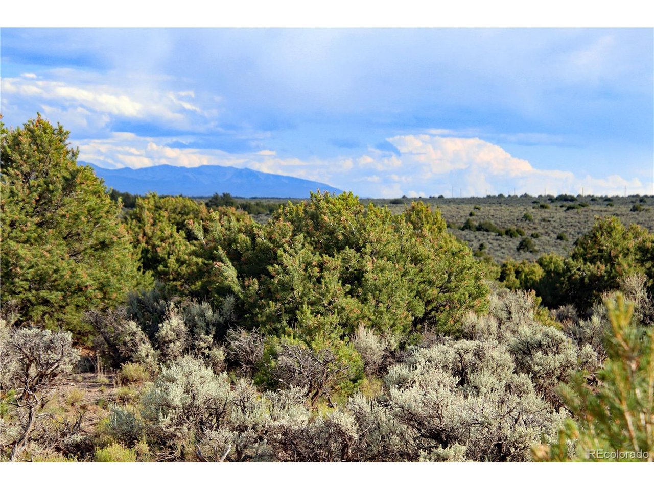 5 North Canyon Road San Luis, CO 81152 - Photo 17 of 25 a view of a city with lush green forest
