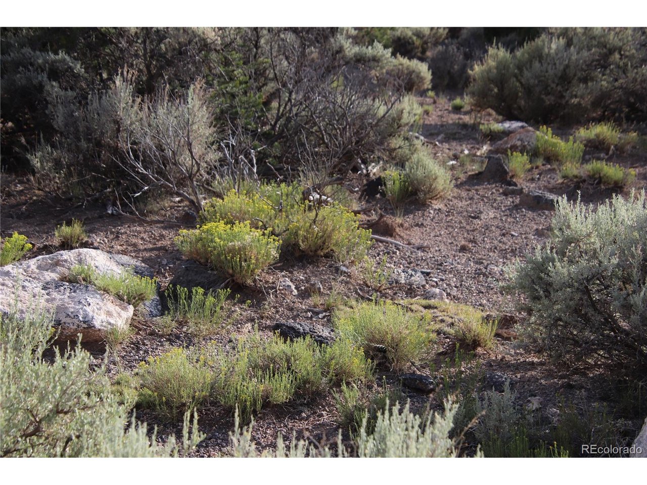 5 North Canyon Road San Luis, CO 81152 - Photo 19 of 25 a view of a garden with a tree