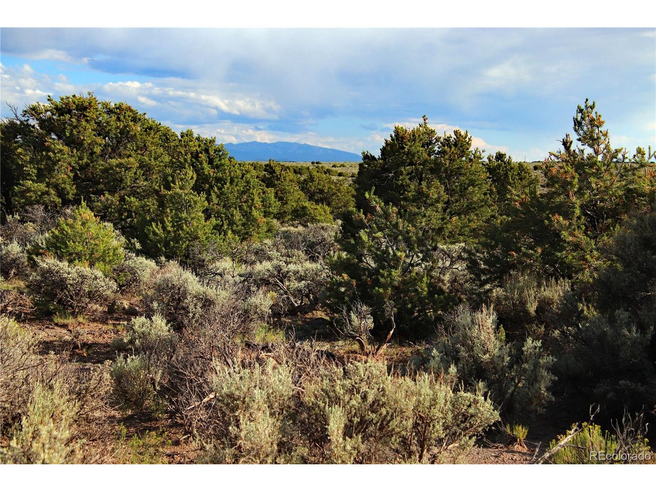 5 North Canyon Road San Luis, CO 81152 - Photo 20 of 25