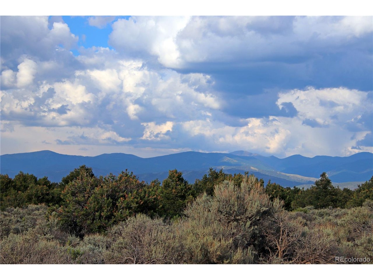 5 North Canyon Road San Luis, CO 81152 - Photo 3 of 25 a view of a bunch of trees in a field