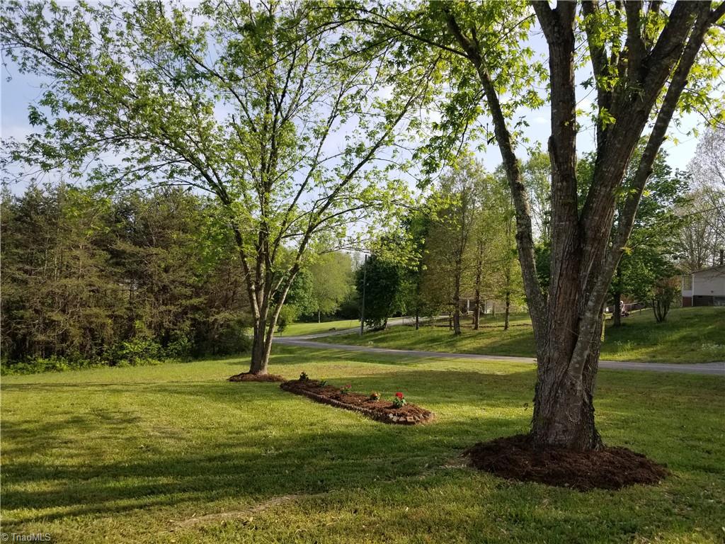 1309 Gordon Road Pinnacle, NC 27043 - Photo 38 of 41 Another view of the front yard