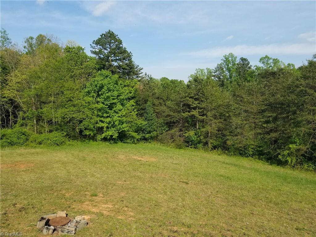 1309 Gordon Road Pinnacle, NC 27043 - Photo 39 of 41 View of additional land