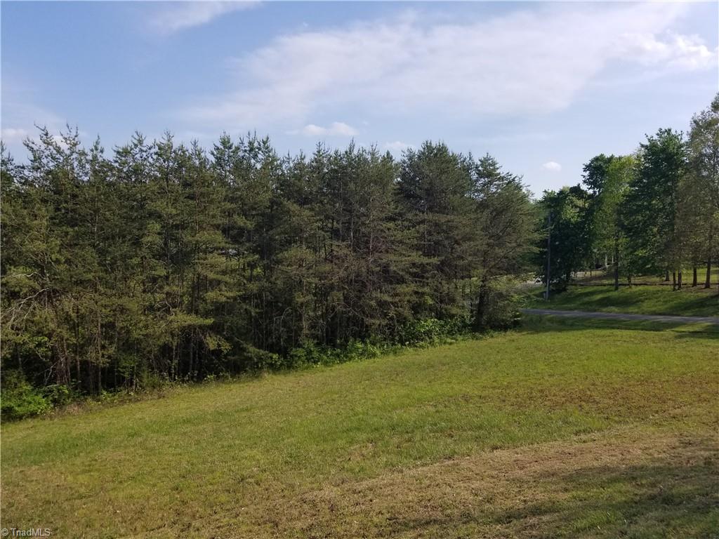 1309 Gordon Road Pinnacle, NC 27043 - Photo 40 of 41 Another view of land