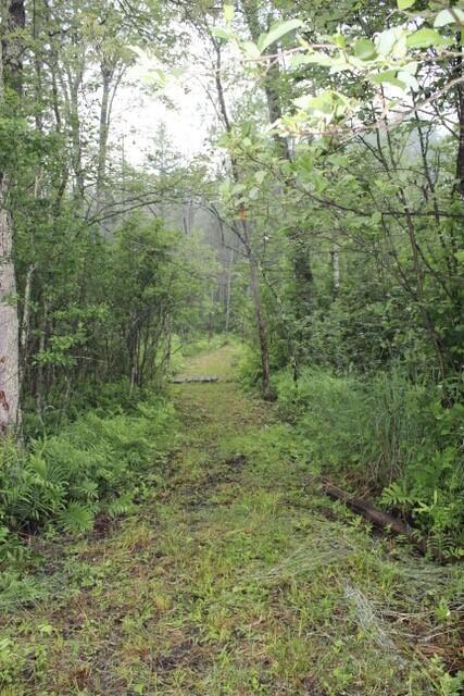 11523 South Stephan Bridge Road Roscommon, MI 48653 - Photo 19 of 25 Gallery Image 19