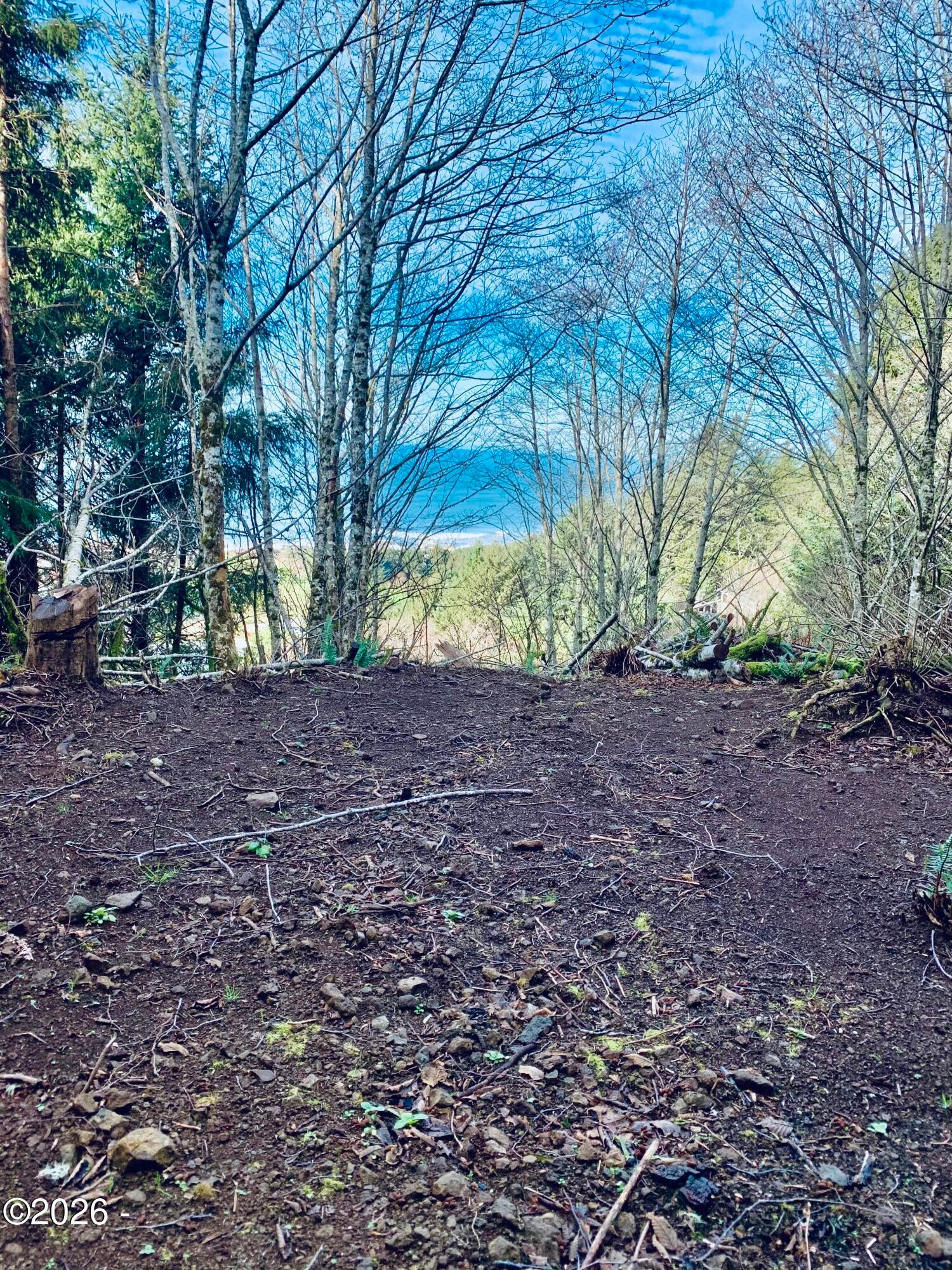 4200 Elk Mountain Road Yachats, OR 97498 - Photo 3 of 13 Gallery Image 3