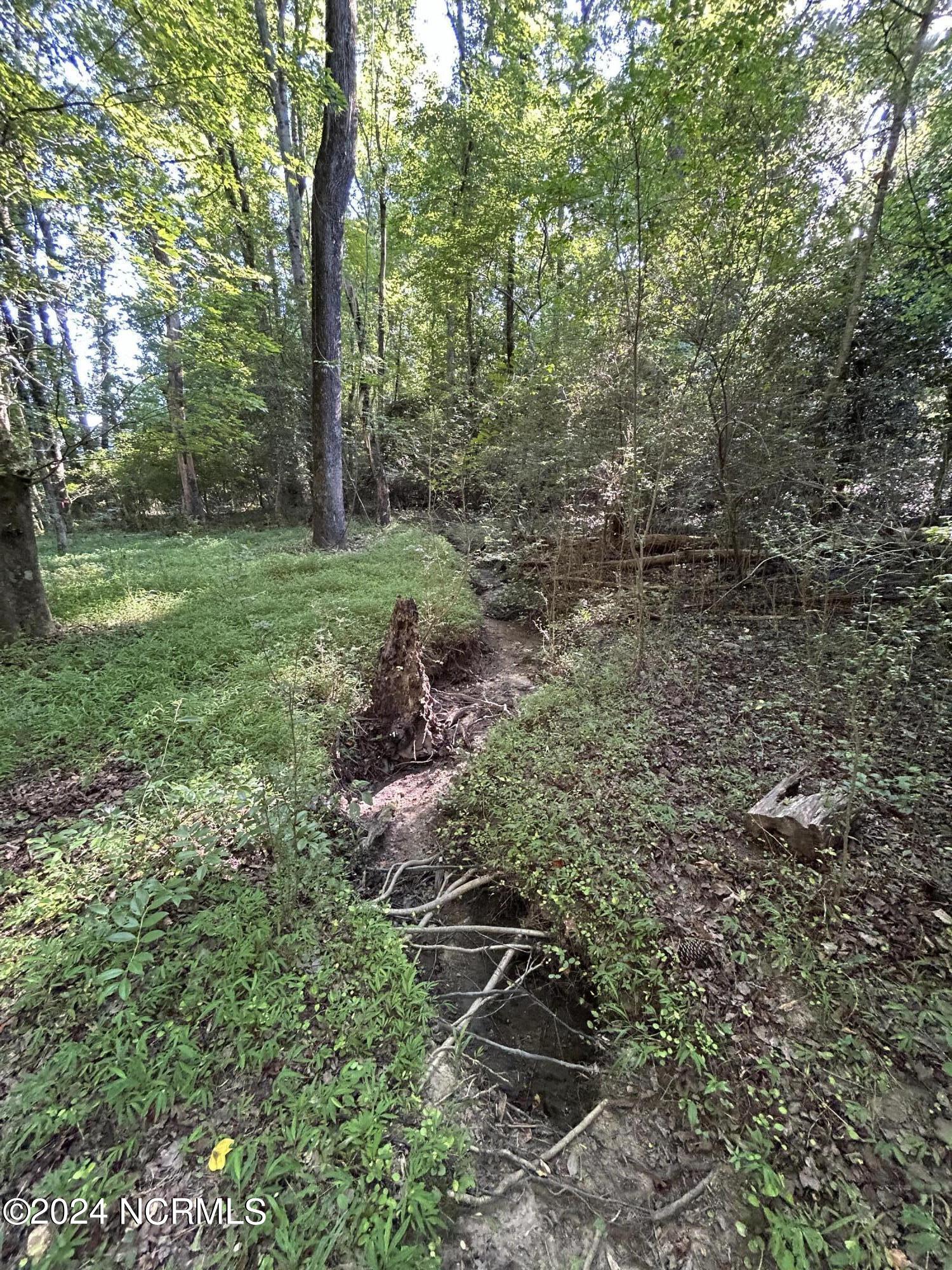 116 American Legion Road Rockingham, NC 28379 - Photo 18 of 23 Gallery Image 18