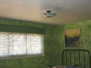 7548 Secor Road Lambertville, MI 48144 - Photo 13 of 13 629434-12.JPG