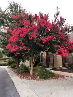 $630,000 | 9550 Savannah Ridge Drive, Unit 37, Austin, TX 78726