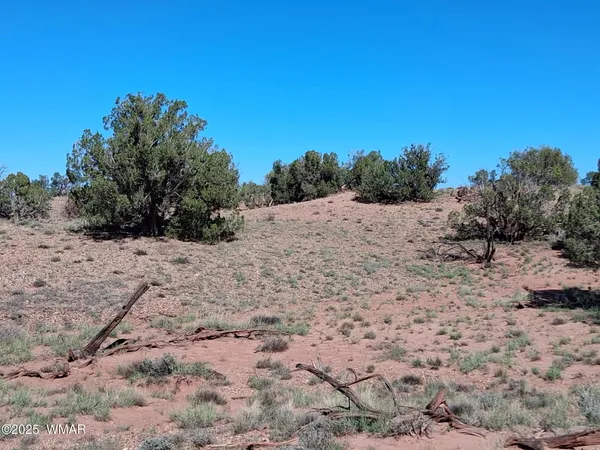 $14,995 | 268 North 5380th, Concho, AZ 85924