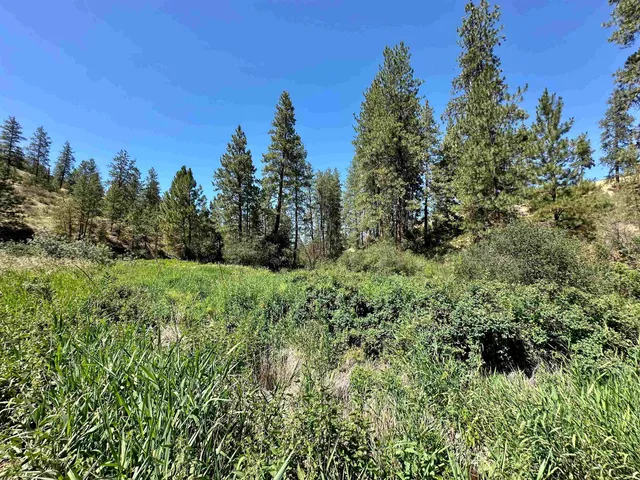 $399,000 | 25656 East E Pine, Lincoln, WA 99147