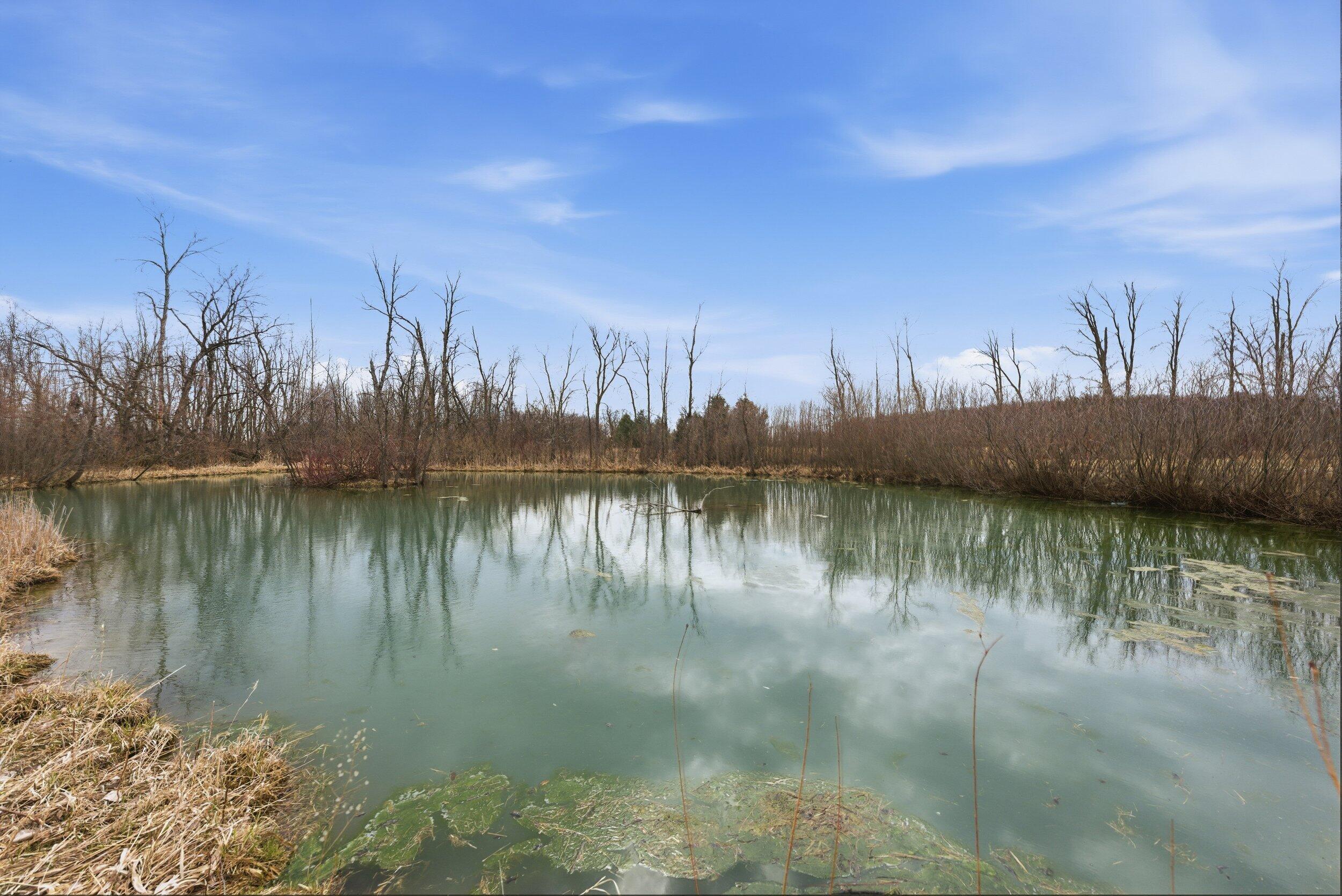 985 Fur Farm Road New Holstein, WI 53061 - Photo 34 of 45 Middle Coast-47