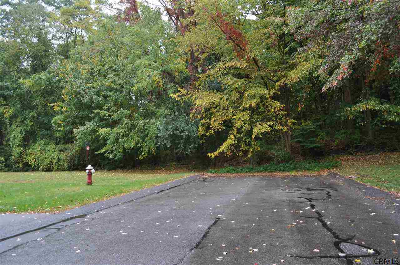 0 Dover Road Niskayuna, NY 12309 - Photo 3 of 7 Photo 3