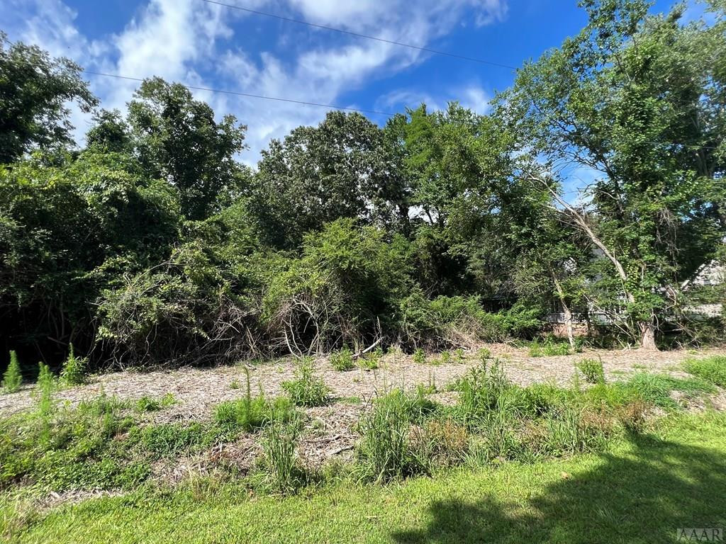 119 Horniblow Point Road Edenton, NC 27932 - Photo 2 of 8