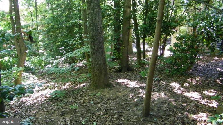 11505 Turnbridge Lane Reston, VA 20194 - Photo 22 of 22 Back yard