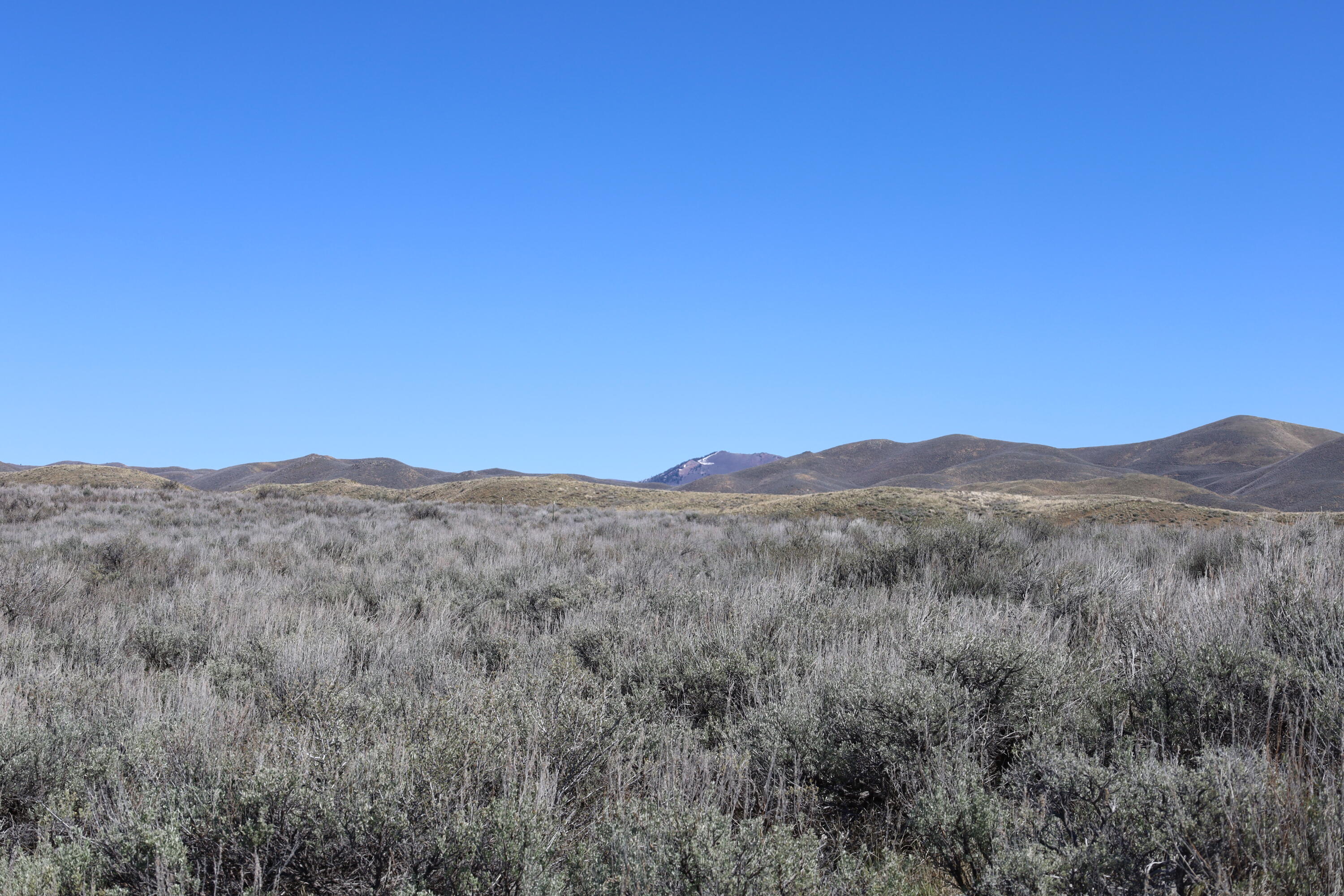 Palomino Road Fairfield, ID 83322 - Photo 7 of 9 IMG_0081