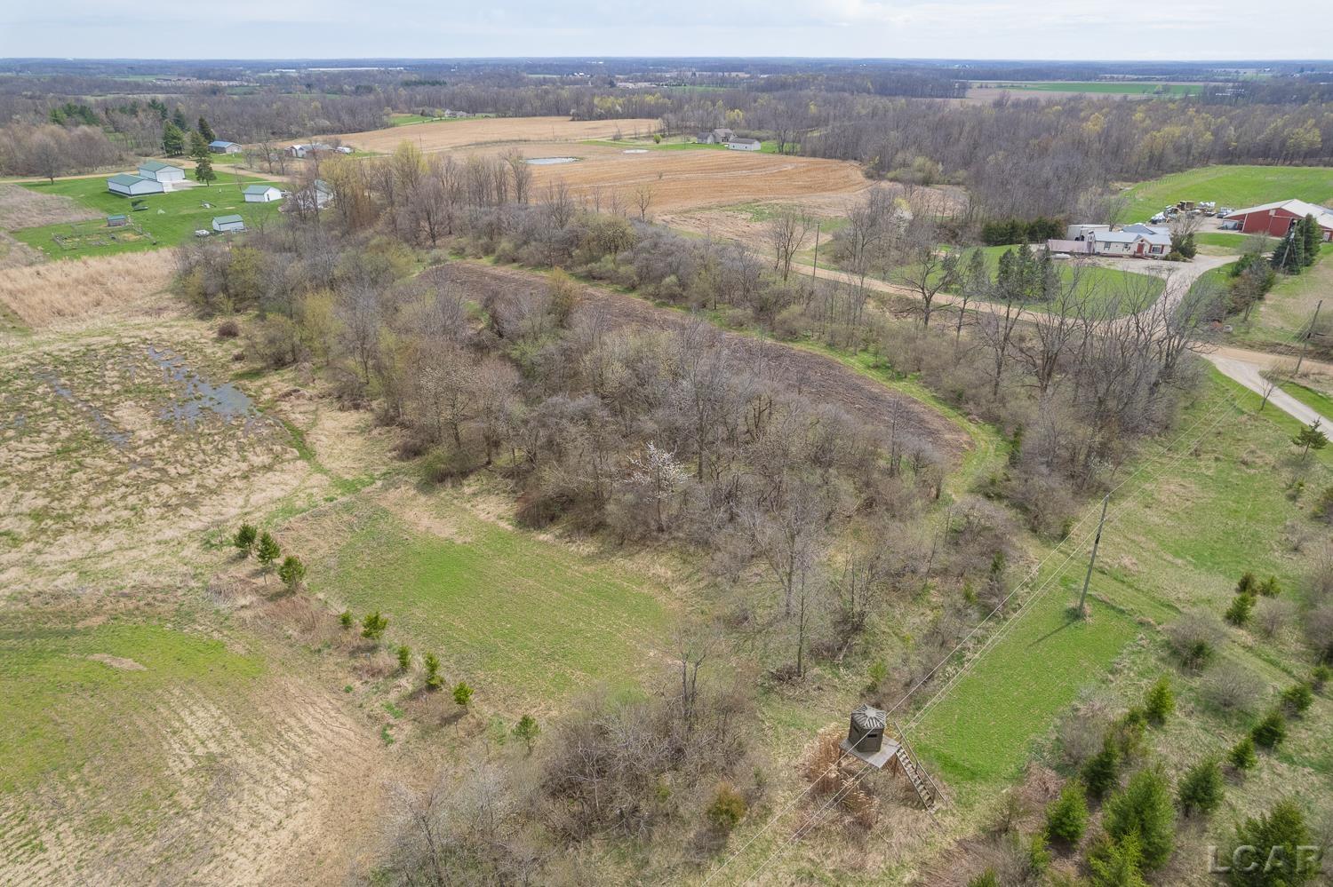 12000 Burton Road Manitou Beach, MI 49253 - Photo 4 of 9