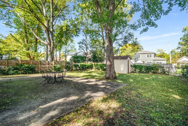 a view of a park with a tree