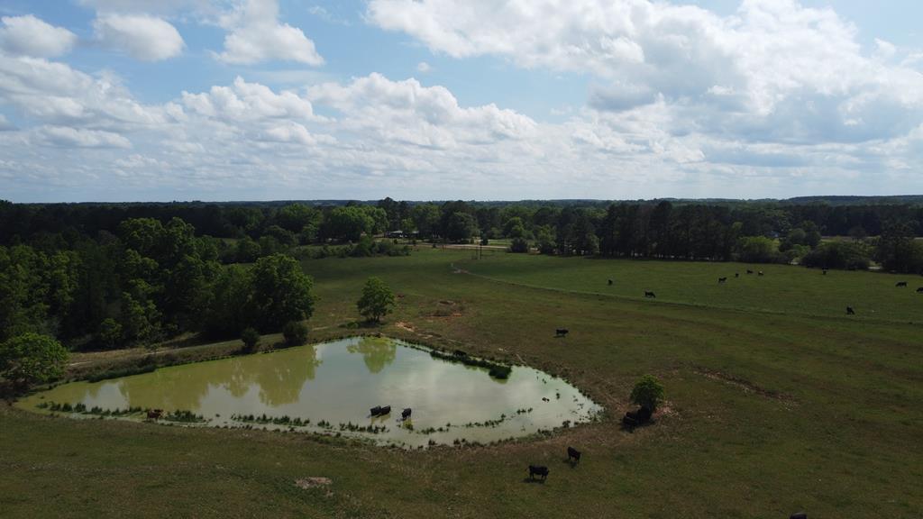 0 County Road 661 Samson, AL 36477 - Photo 11 of 11