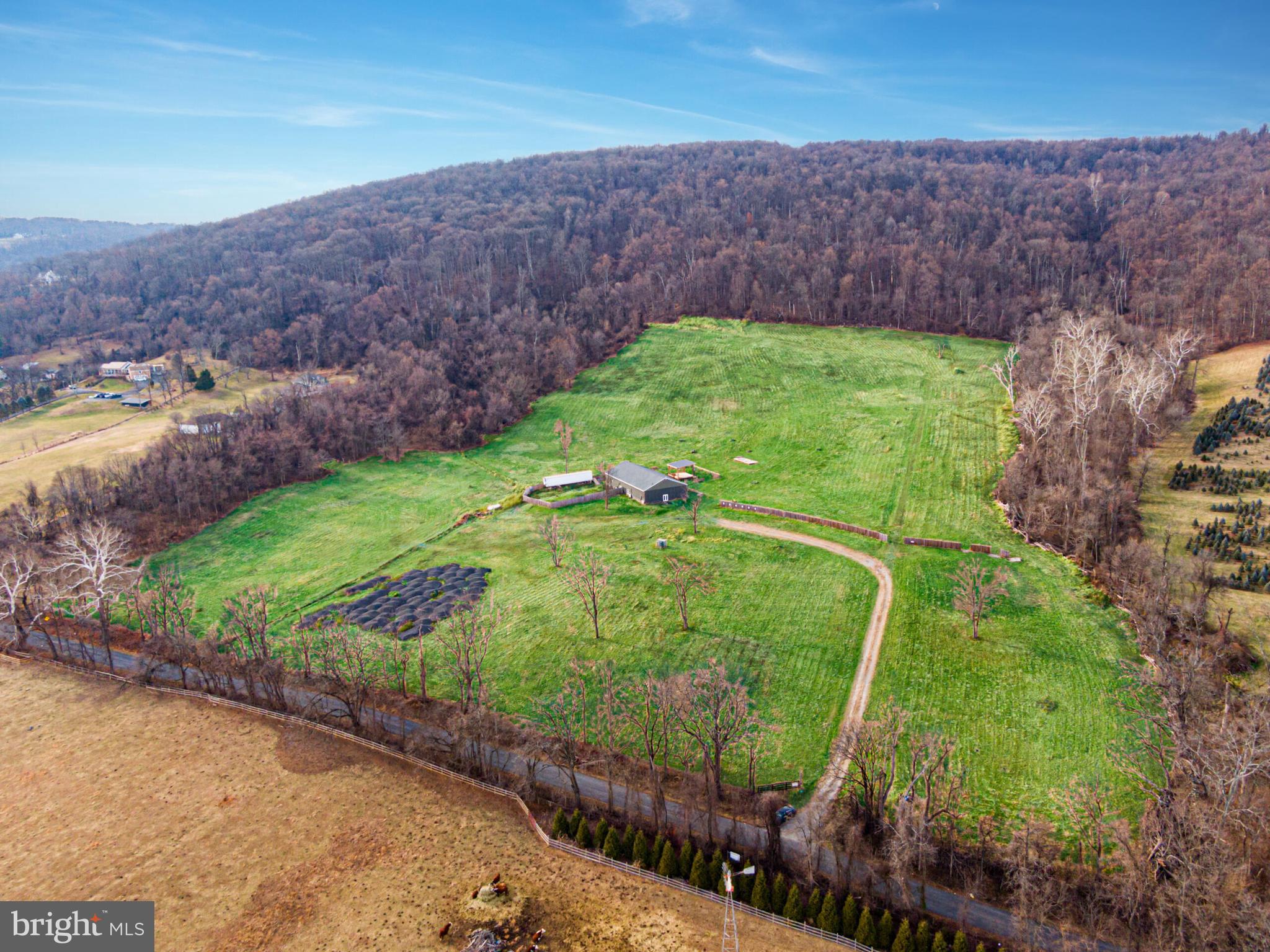 34266 Williams Gap Road Round Hill, VA 20141 - Photo 5 of 18