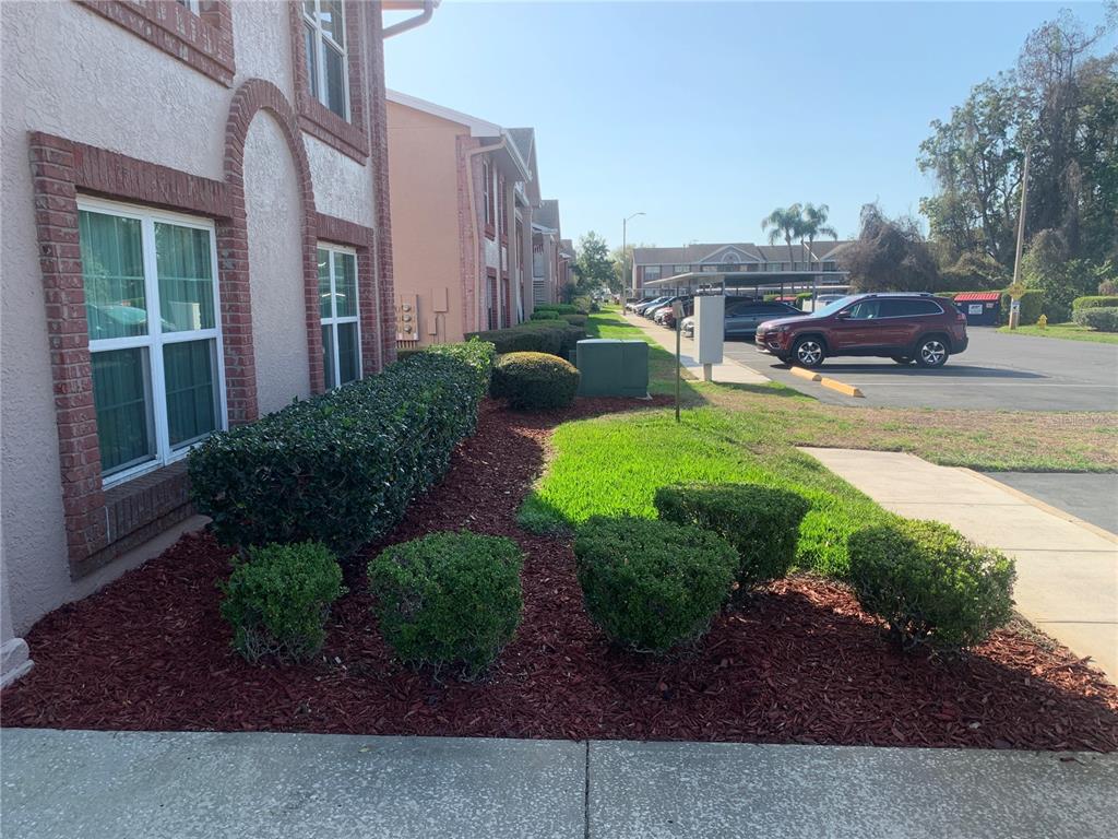 6424 Spring Flower Drive, Unit 25 New Port Richey, FL 34653 - Photo 2 of 15