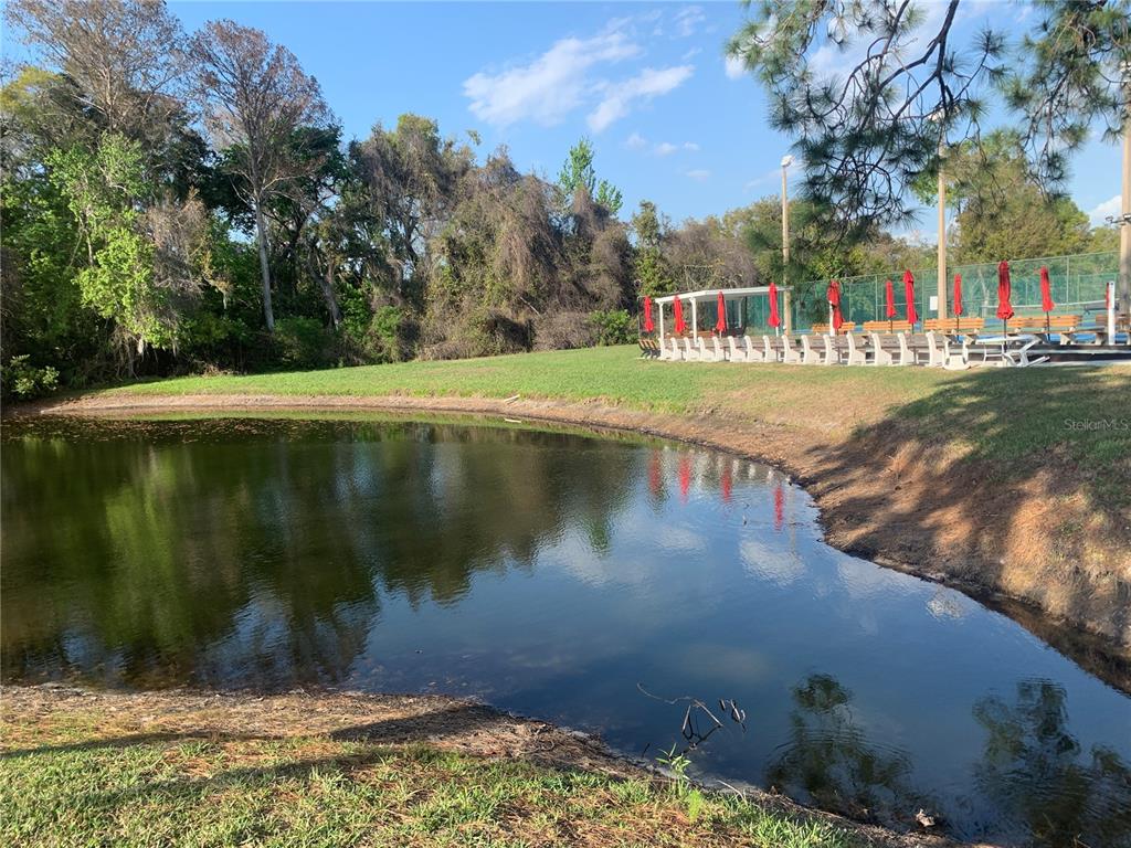 6424 Spring Flower Drive, Unit 25 New Port Richey, FL 34653 - Photo 10 of 15