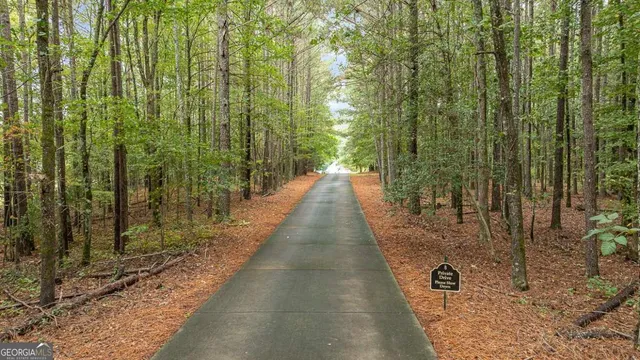 $1,325,000 | 991-h D H D Atha Road, Monroe, GA 30655