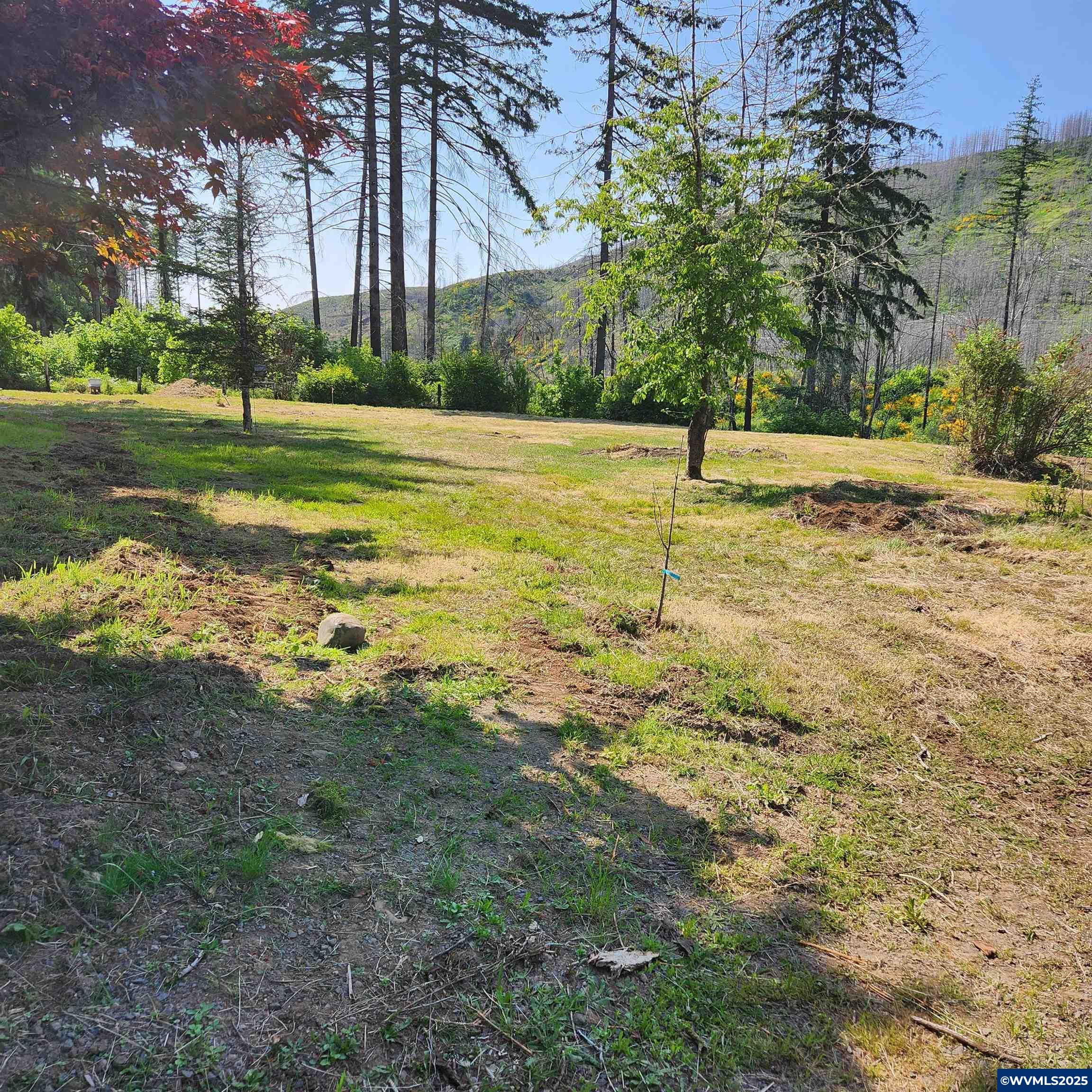 26147 Taylor Park Road Southeast Lyons, OR 97358 - Photo 3 of 25