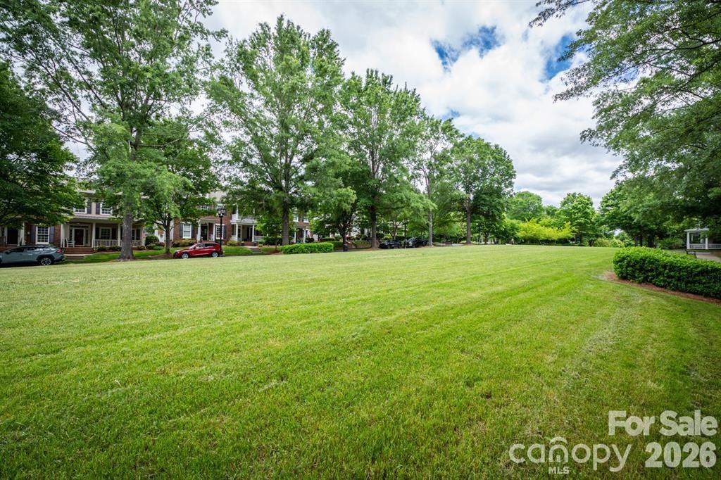 869 Stratford Run Drive Fort Mill, SC 29708 - Photo 48 of 48