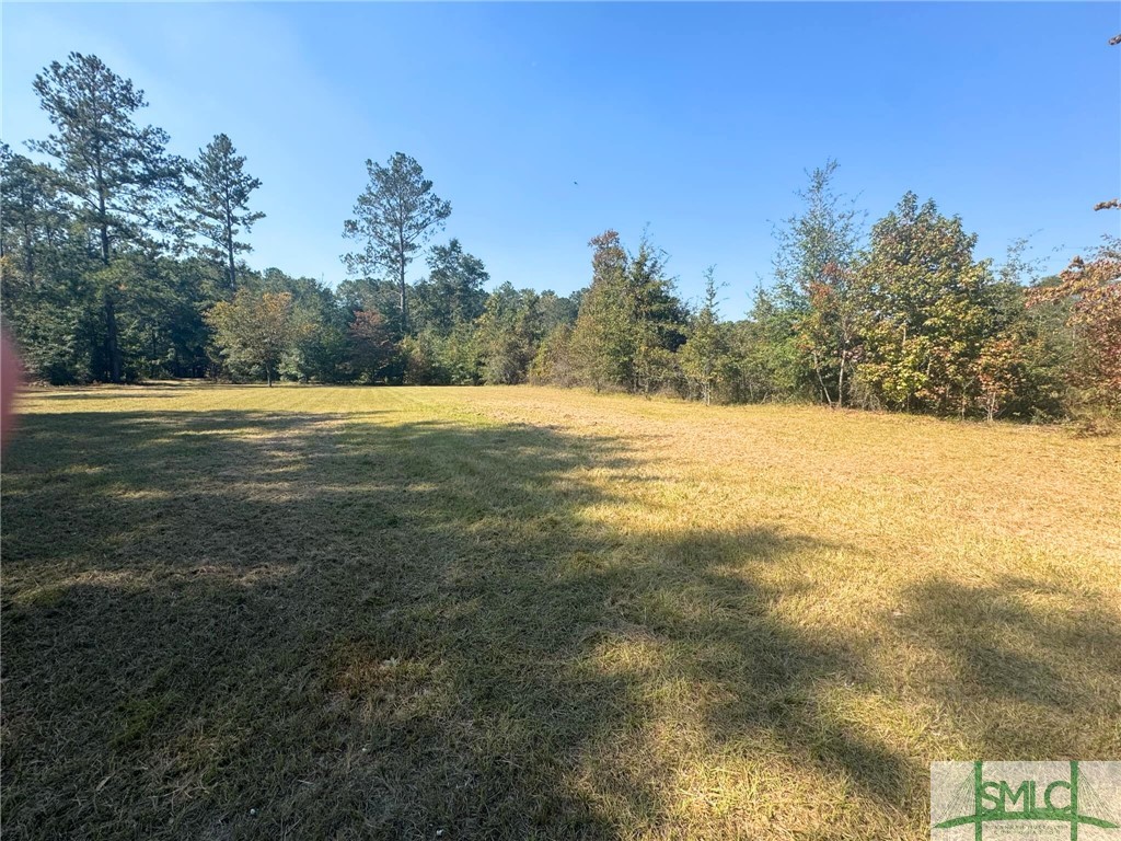1682 Kendricks Road Brooklet, GA 30415 - Photo 2 of 19 Front yard