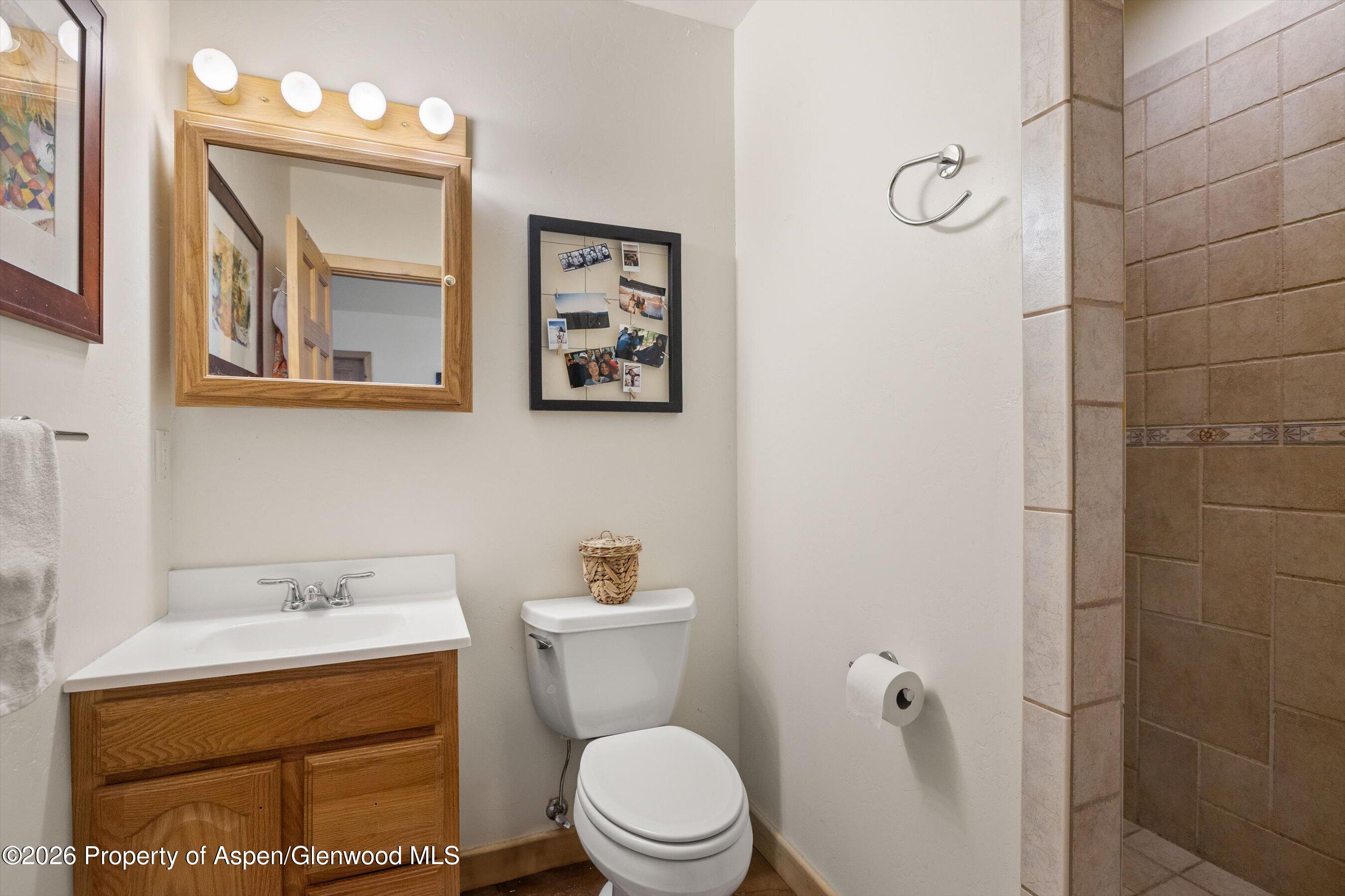 345 Elk Range Road Carbondale, CO 81623 - Photo 23 of 36 32-345ElkRangeRd_2605_1409