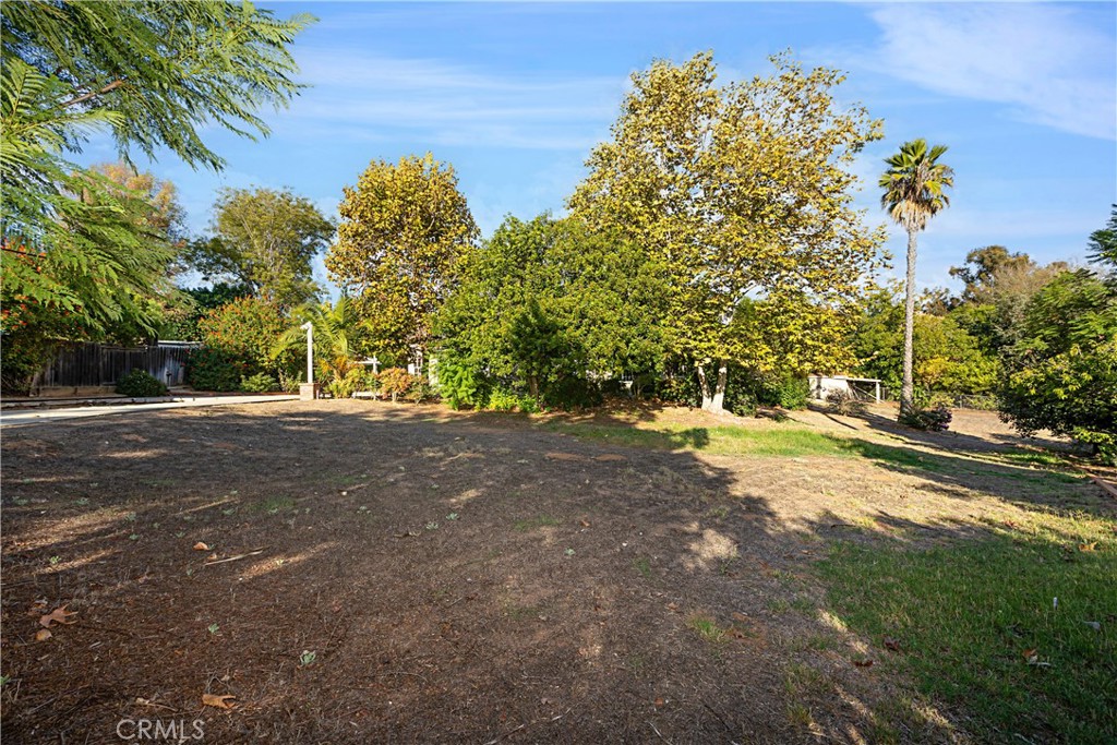 1011 Farrand Court Fallbrook, CA 92028 - Photo 39 of 49 a view of road with large trees