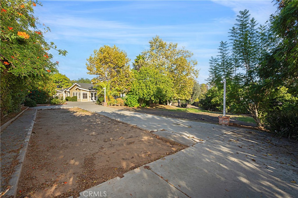 1011 Farrand Court Fallbrook, CA 92028 - Photo 40 of 49 a view of road with large trees