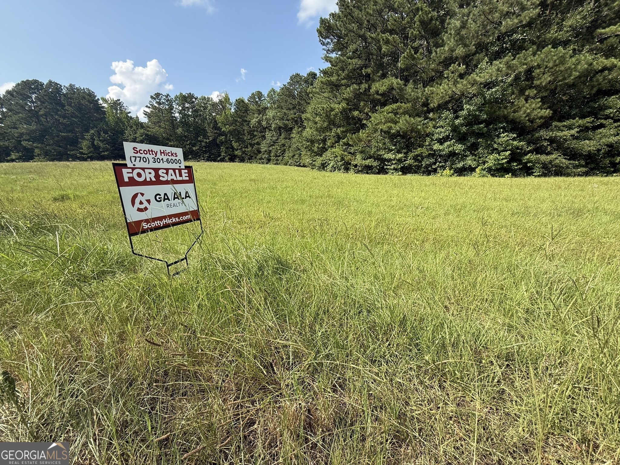 0 Cartbody Road Carrollton, GA 30116 - Photo 23 of 24