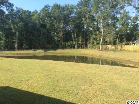 506 Hyacinth Loop Murrells Inlet, SC 29576 - Photo 2 of 24 Gallery Image 2