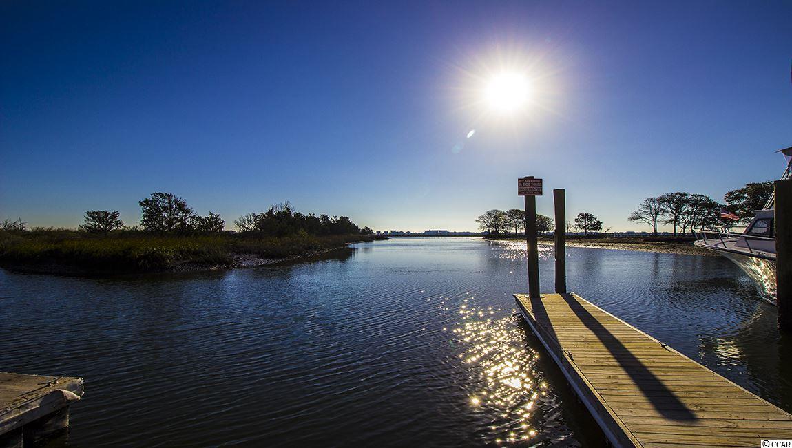 506 Hyacinth Loop Murrells Inlet, SC 29576 - Photo 23 of 24 Gallery Image 23